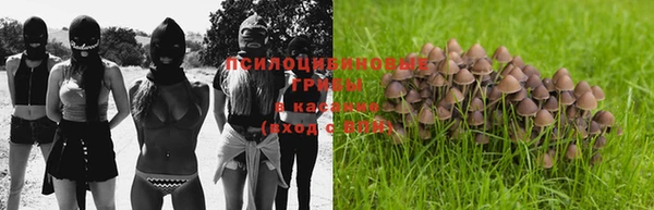 спайс Сясьстрой