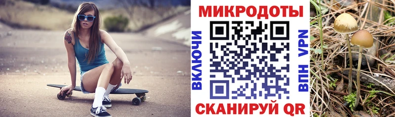 Псилоцибиновые грибы мицелий Касли